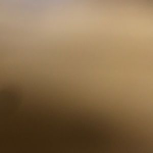 Meet your Posher, Shaniya